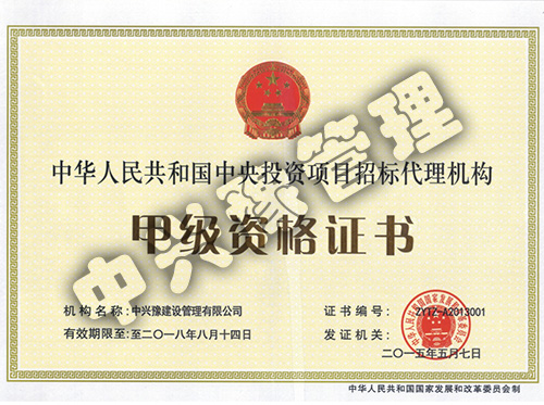 甲級(jí)中央投資項(xiàng)目招標(biāo)代理